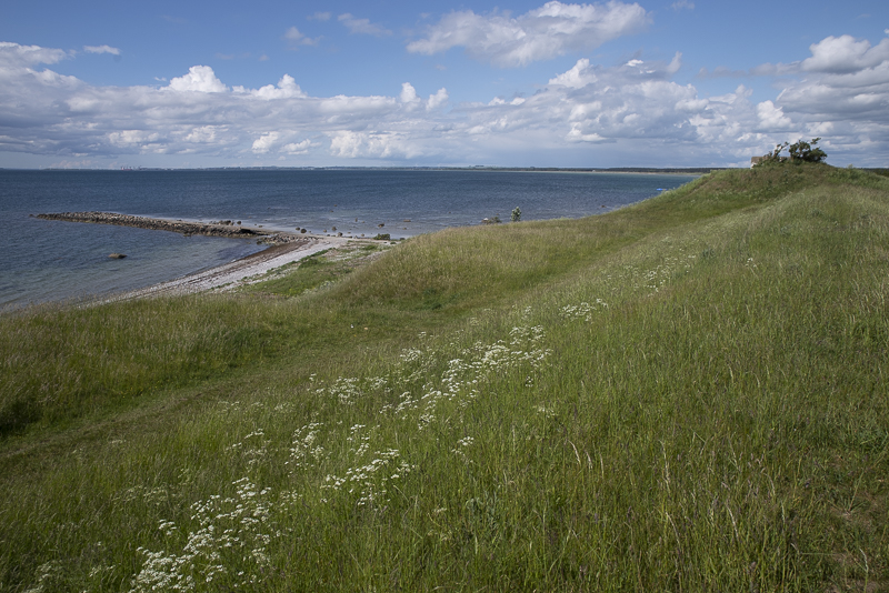 Barsebäcks skansar