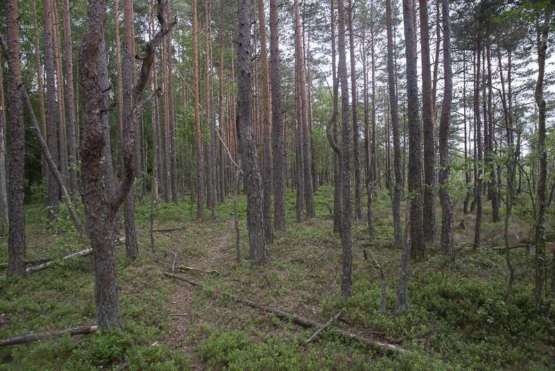Aggarpsmyren