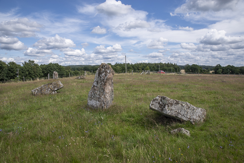 Ekebjär