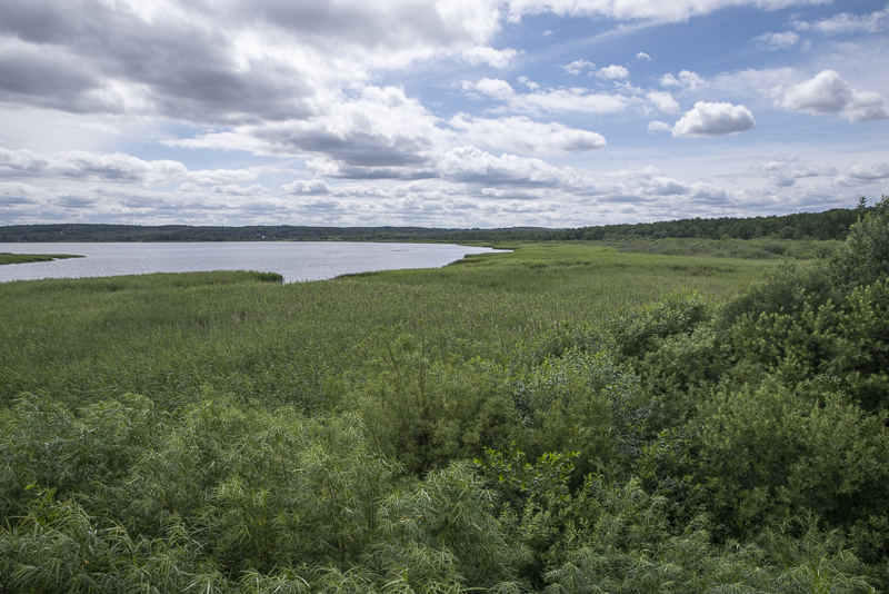 Finjasjön