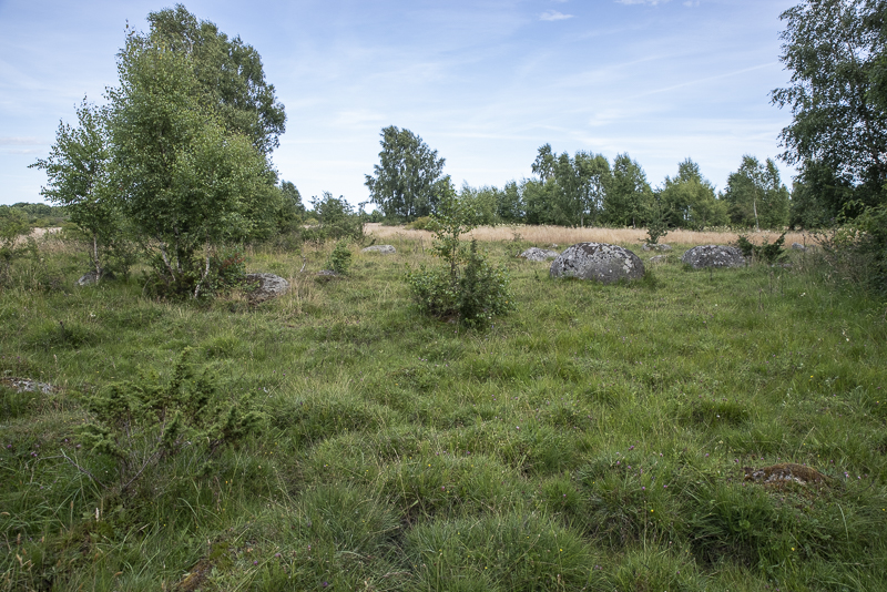 Gyetorpskärret