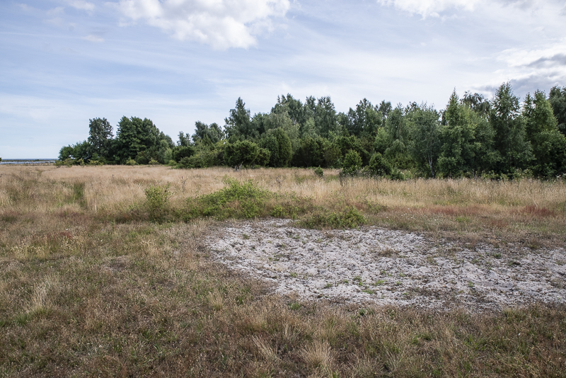 Gyetorpskärret