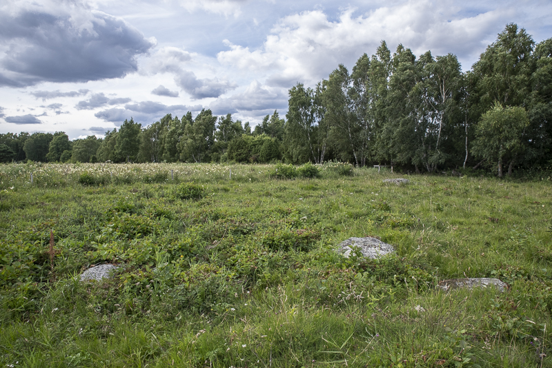 Gyetorpskärret