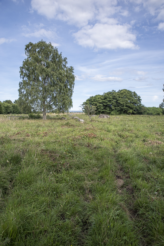 Gyetorpskärret