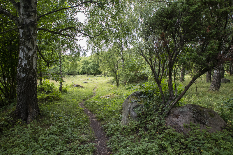 Gyetorpskärret