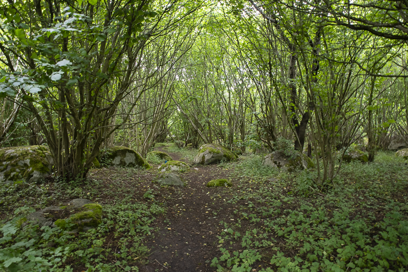 Gyetorpskärret