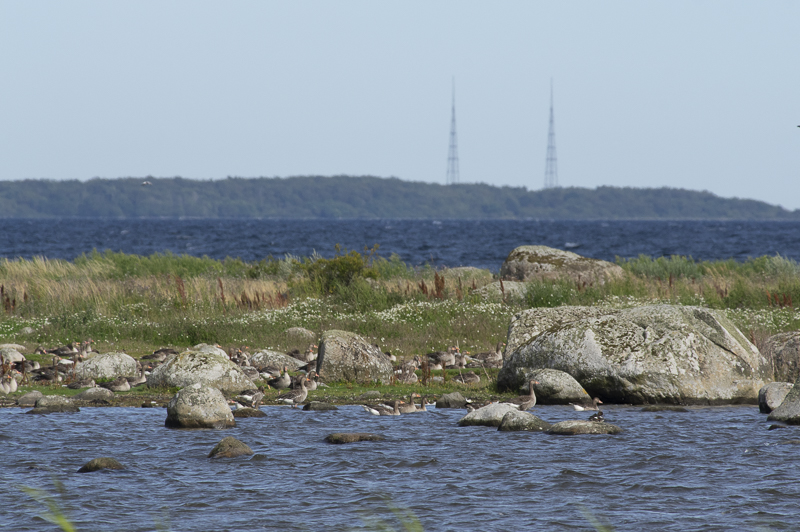 Gyetorpskärret