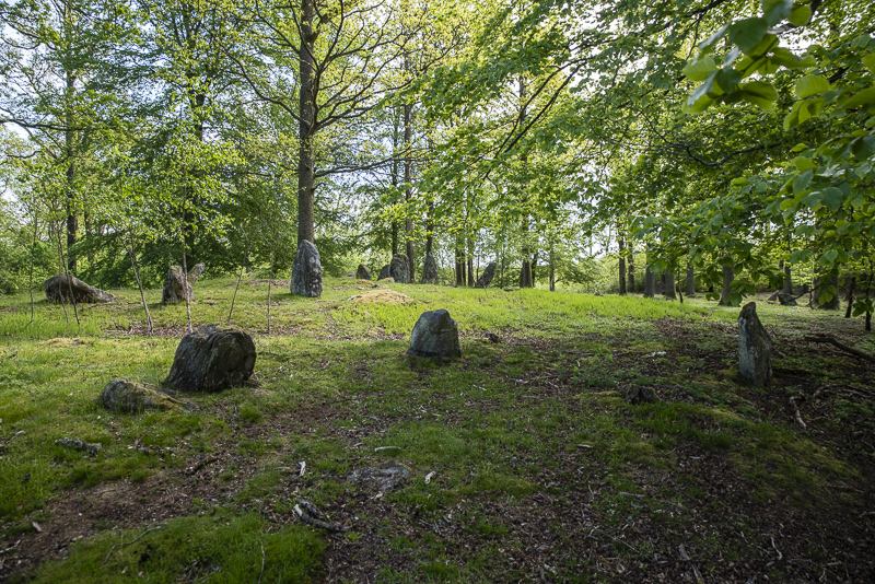 Häglinge gravfält