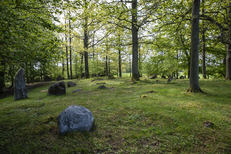 Häglinge gravfält