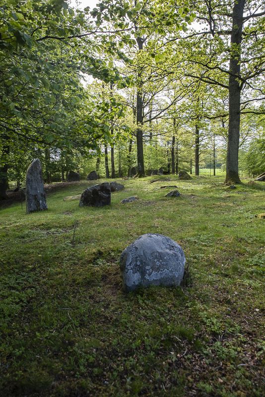 Häglinge gravfält