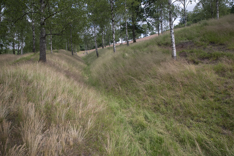 Hörja gravfält
