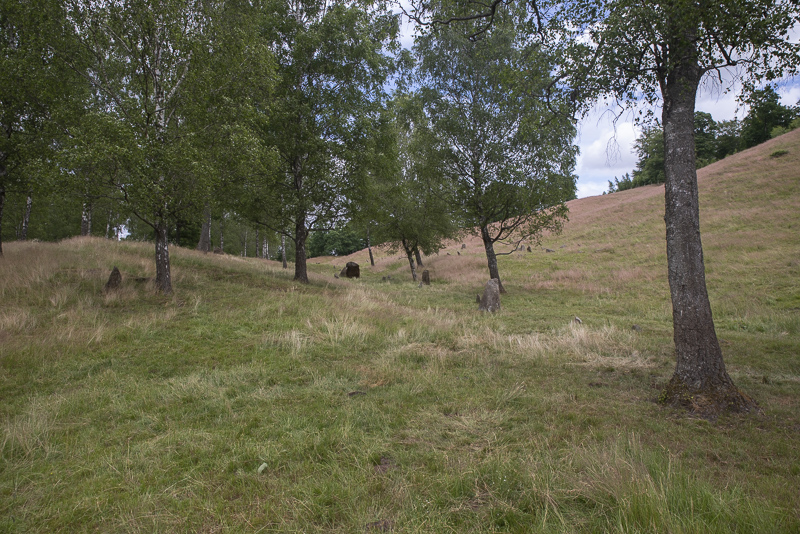 Hörja gravfält