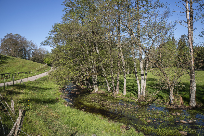 Klingstorpsbäcken