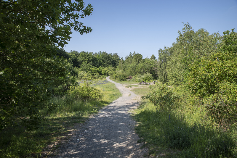 Käglinge strövområde