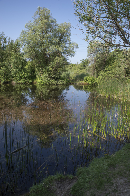 Käglinge strövområde