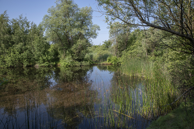 Käglinge strövområde