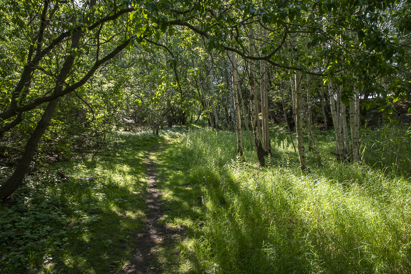 Käglinge strövområde