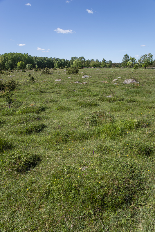Mosslunda