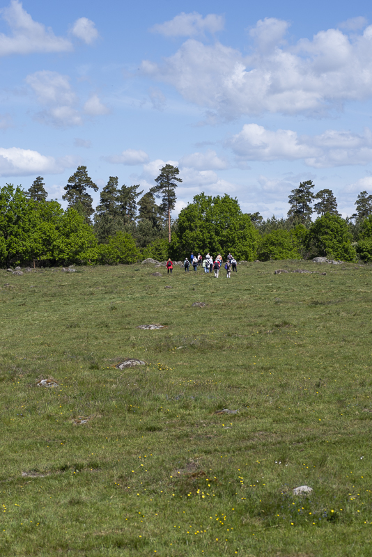 Mosslunda