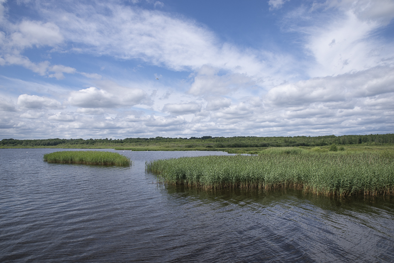 Finjasjön