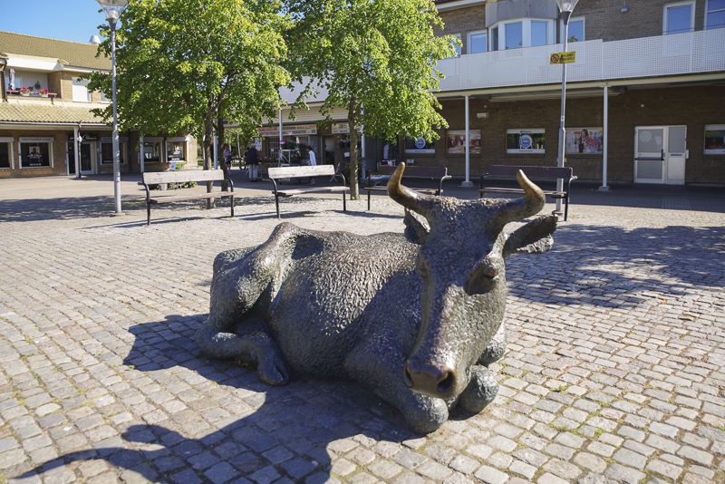 Oxie centrum