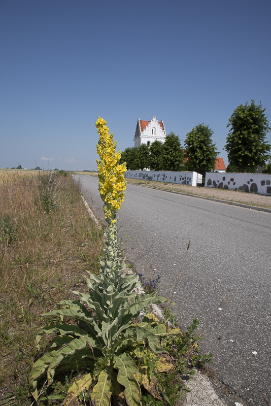 Skegrie kyrka