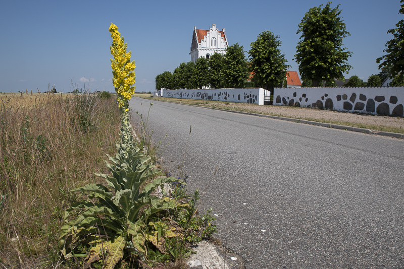 Skegrie kyrka