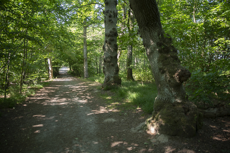 Svaneholm