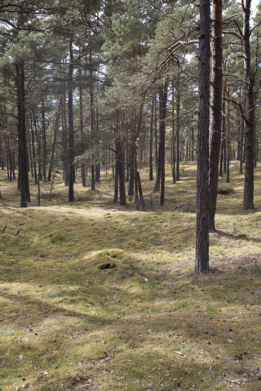 Södra Äspet