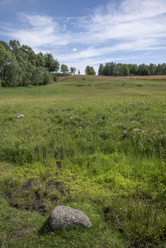 Ullstorpsdalen