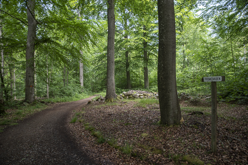 Vrams Gunnarstorp