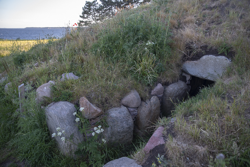Örenäsgraven