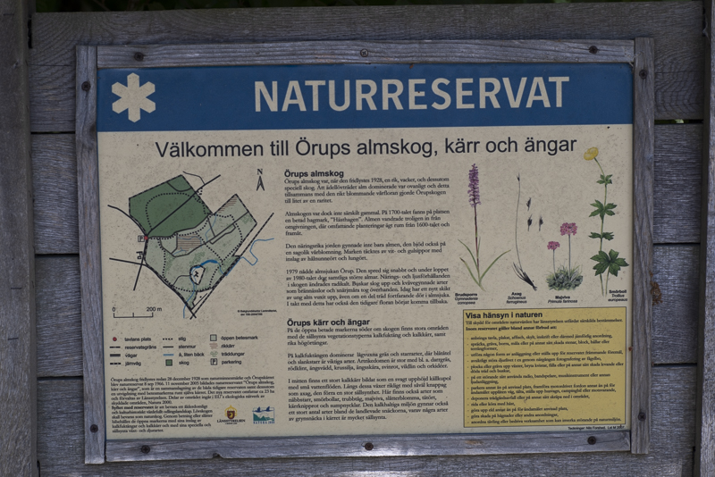 Örupskärret