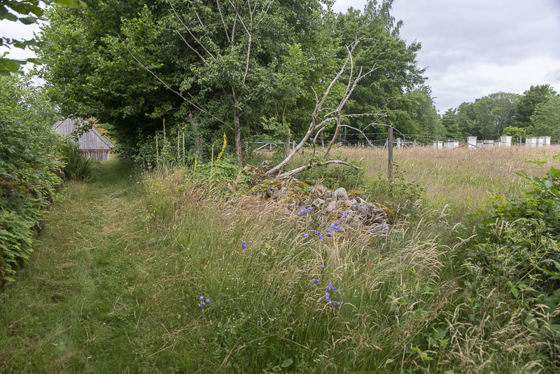 Ballingstorp