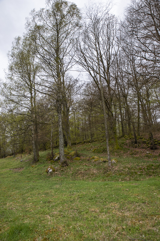 Satserups hall