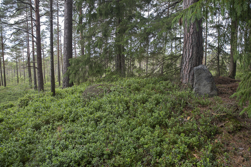 Stora Bökön