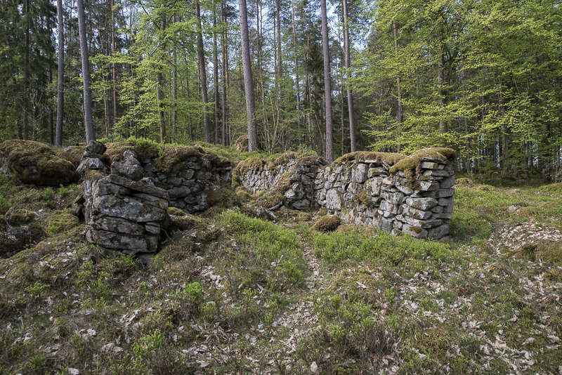 Örnanäs