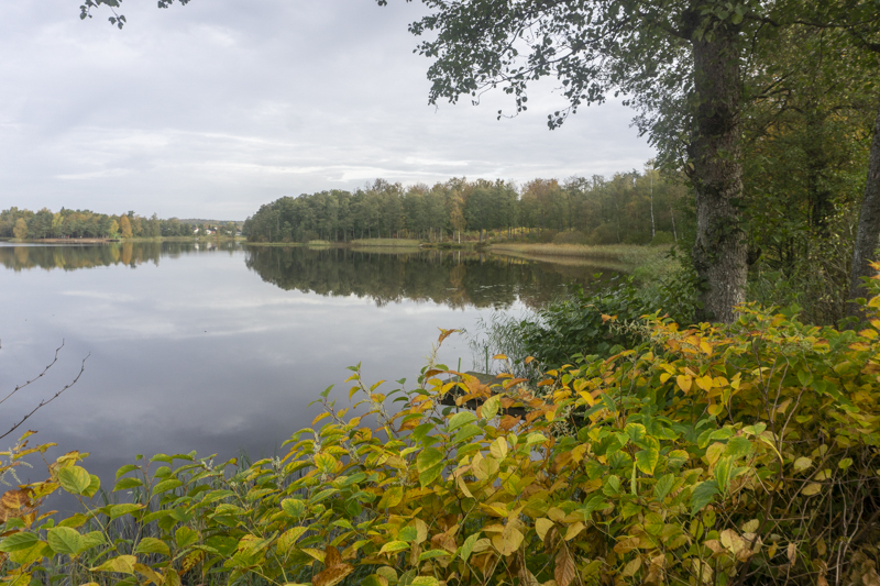 Åsljungasjön