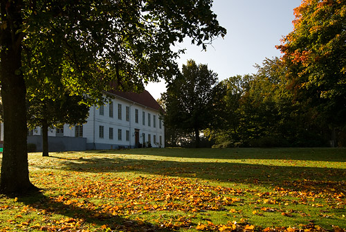 Gedsholm