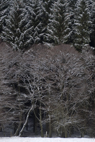 Vinter