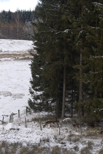Häckeberga naturreservat