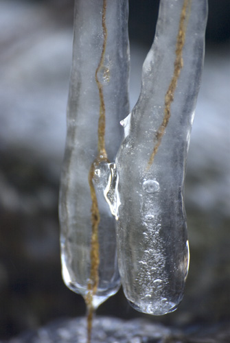Vinter