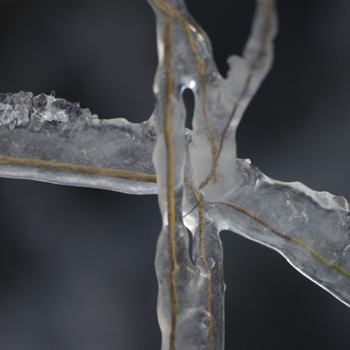 Vinter