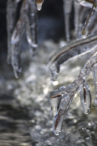Vinter