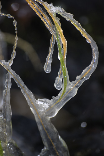 Vinter