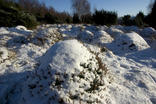 Högabjär