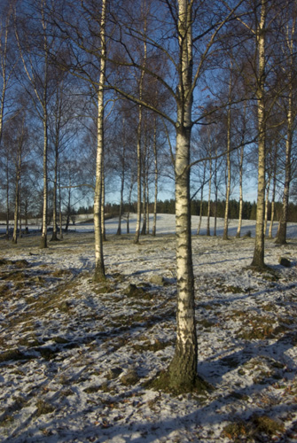 Måryd