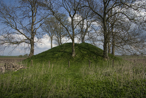 Önnarp