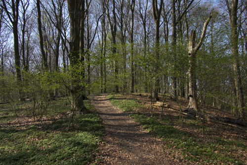Törringelund