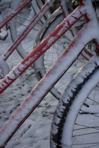 Vintercyklar